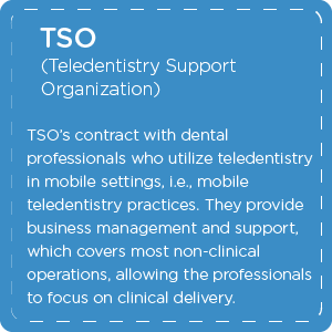 What is a Teledentistry Support Organization TSO